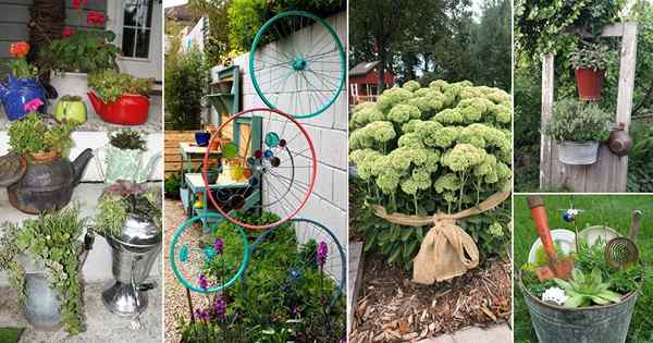 35 Idées de décoration de jardin du marché aux puces (transformer les choses bon marché en or dans le jardin)