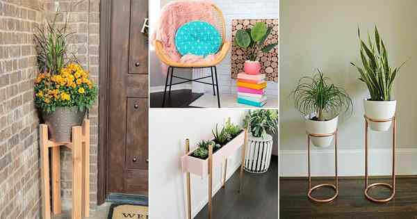 40 Melhores e mais criativas Plant Stand Ideas para inspiração