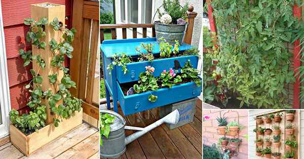 42 Ideas de jardinería vertical urbana para espacios pequeños