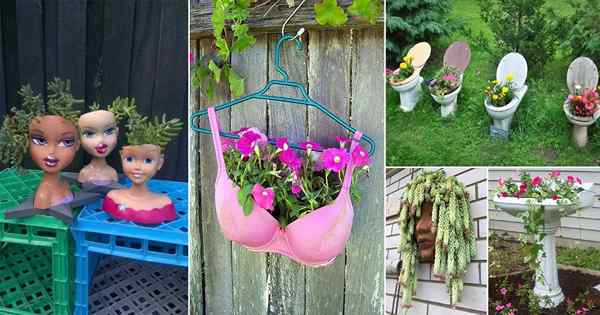 45 Idées de planter les plus ridicules sur Internet | Jardinières de bricolage uniques