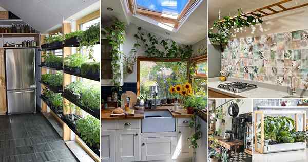 56 jardim interno em idéias de cozinha