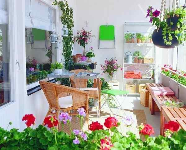 6 tips taman balkon untuk musim panas