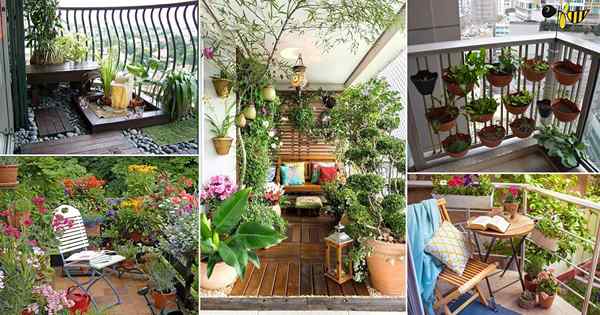 70 Ideas de jardín de balcón más bonitas | Mejores jardines de balcón