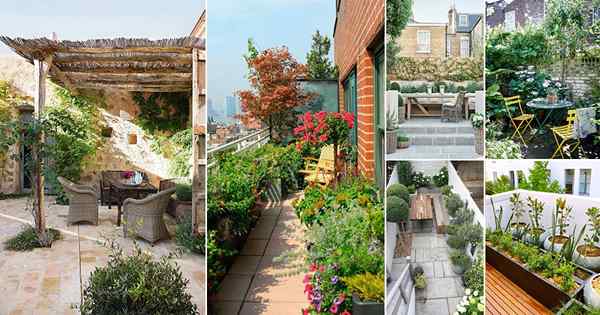 81 Pomysły na ogród małych miejskich | Great Urban Gardens