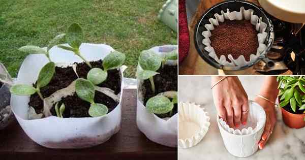 9 Awesome Coffee Filter Use dans le jardin