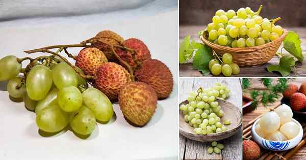 Les raisins sont-ils liés au litchi | Grapes vs. Litchi