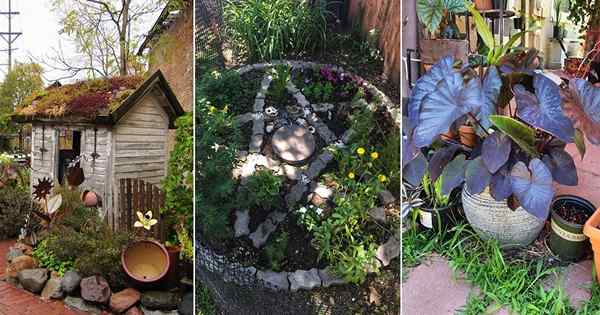 Wie man einen schwarzen magischen Garten kreiert