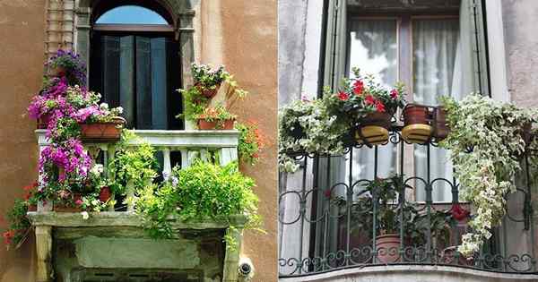 Co to jest francuski balkon | Szczegóły Balconette